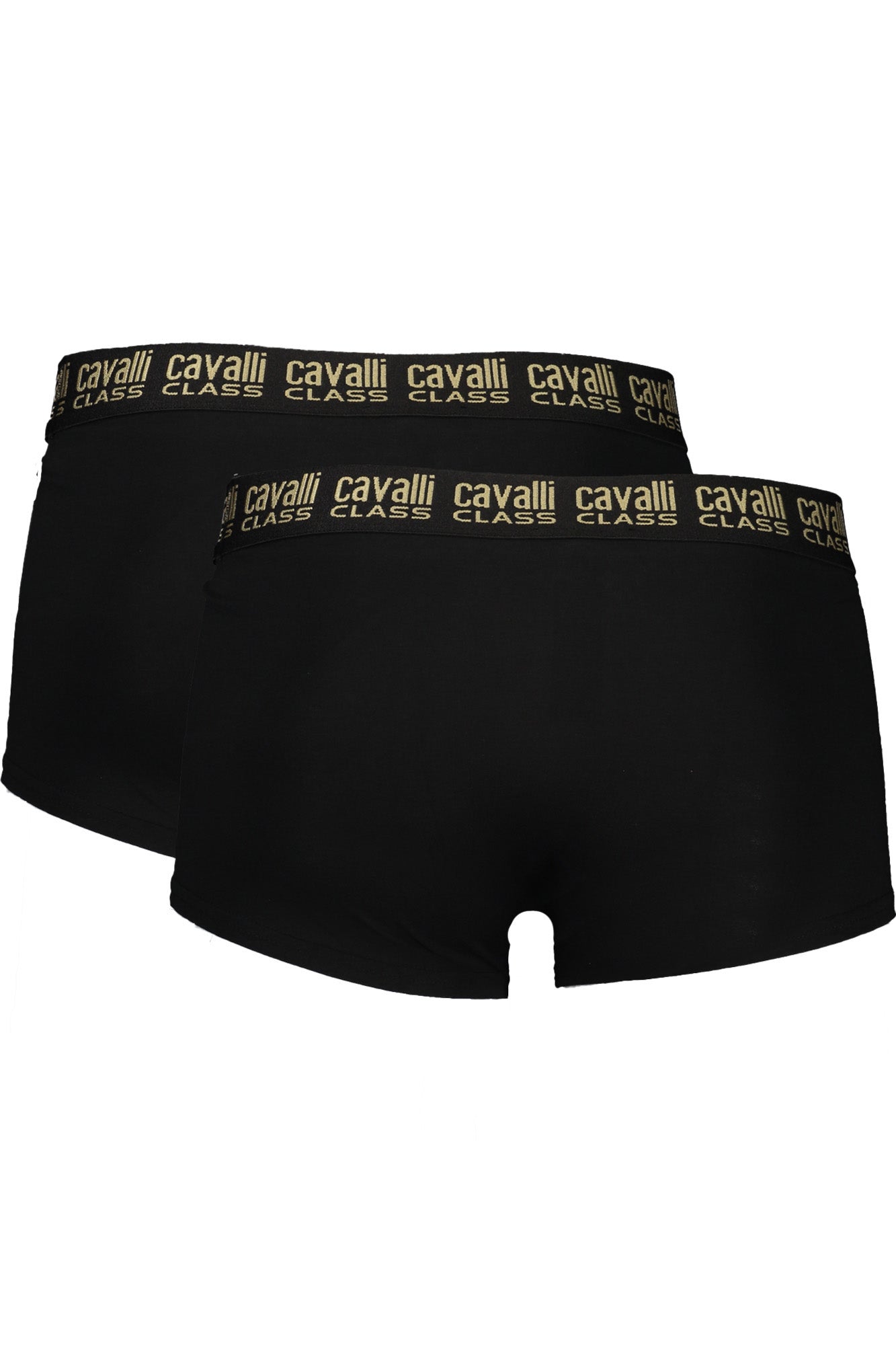 CAVALLI CLASS