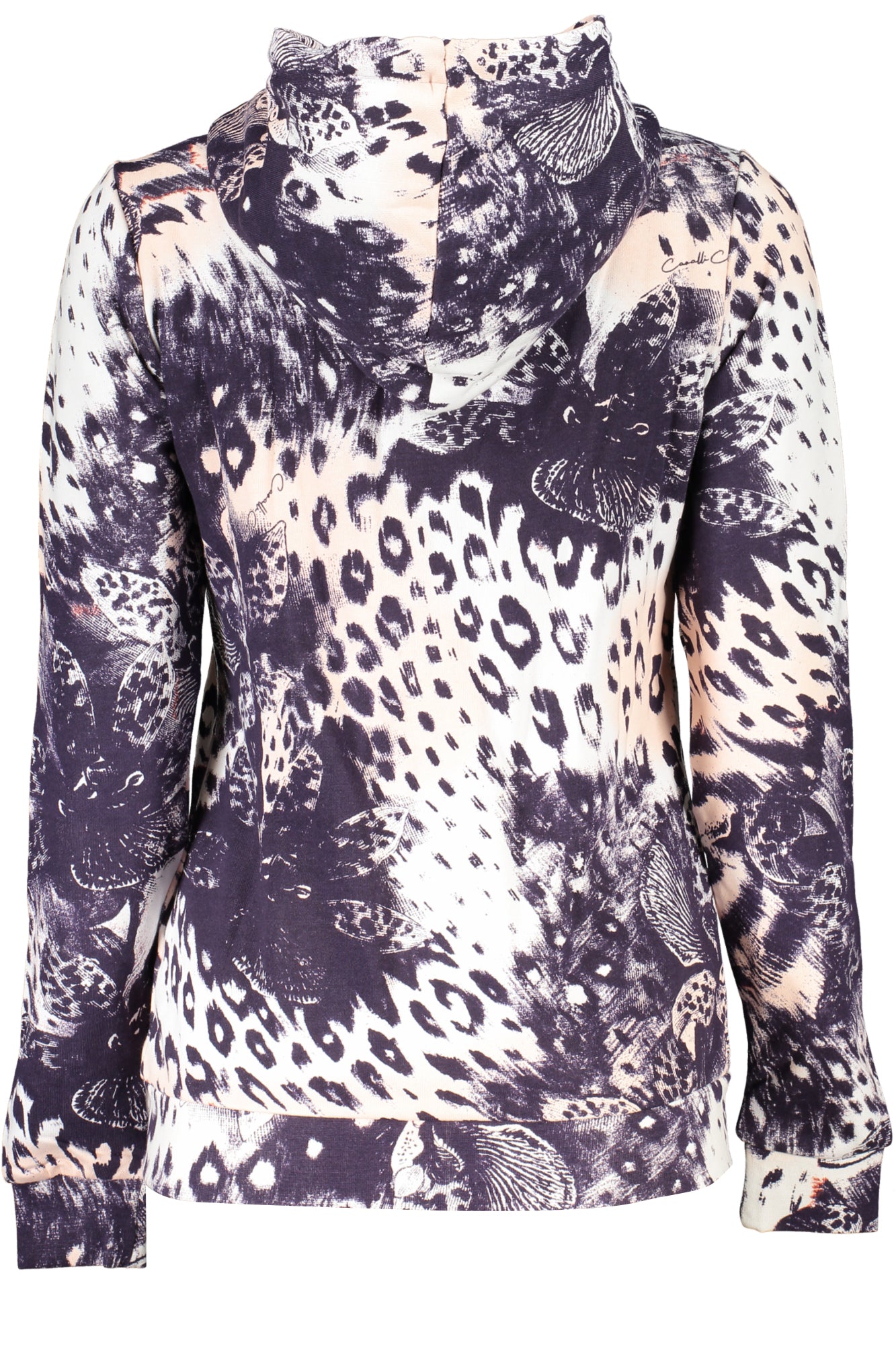 CAVALLI CLASS