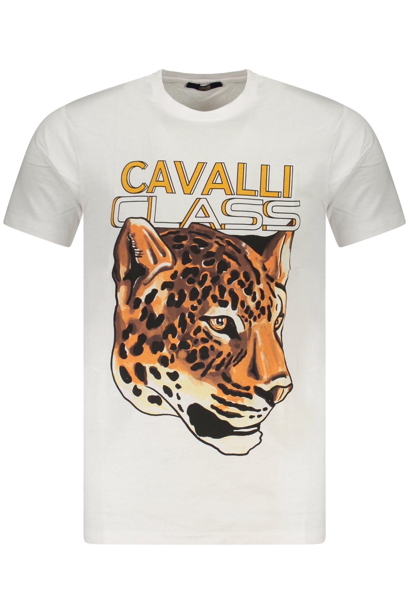 CAVALLI CLASS