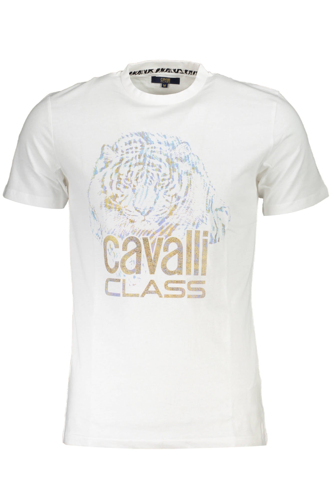CAVALLI CLASS