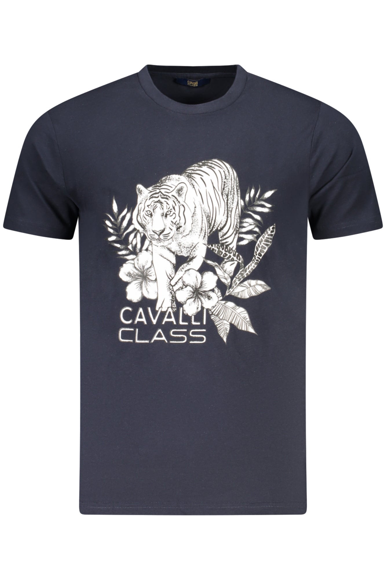 CAVALLI CLASS