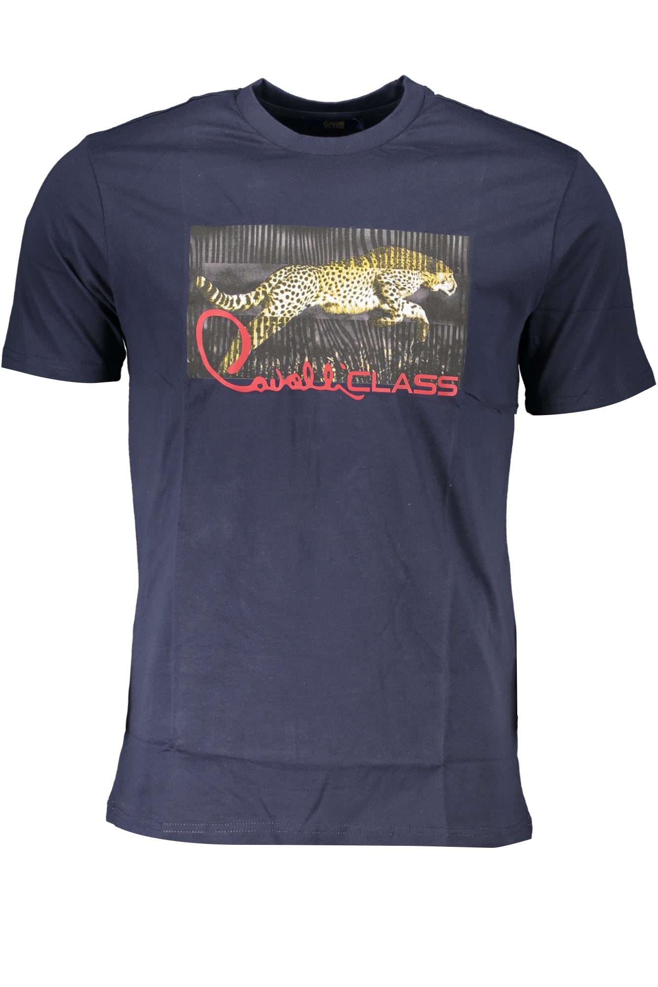 CAVALLI CLASS