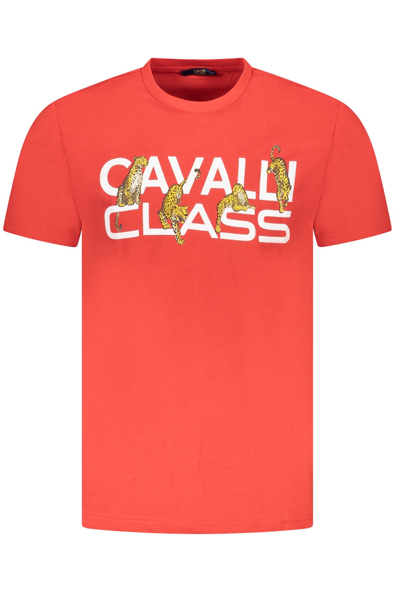 CAVALLI CLASS