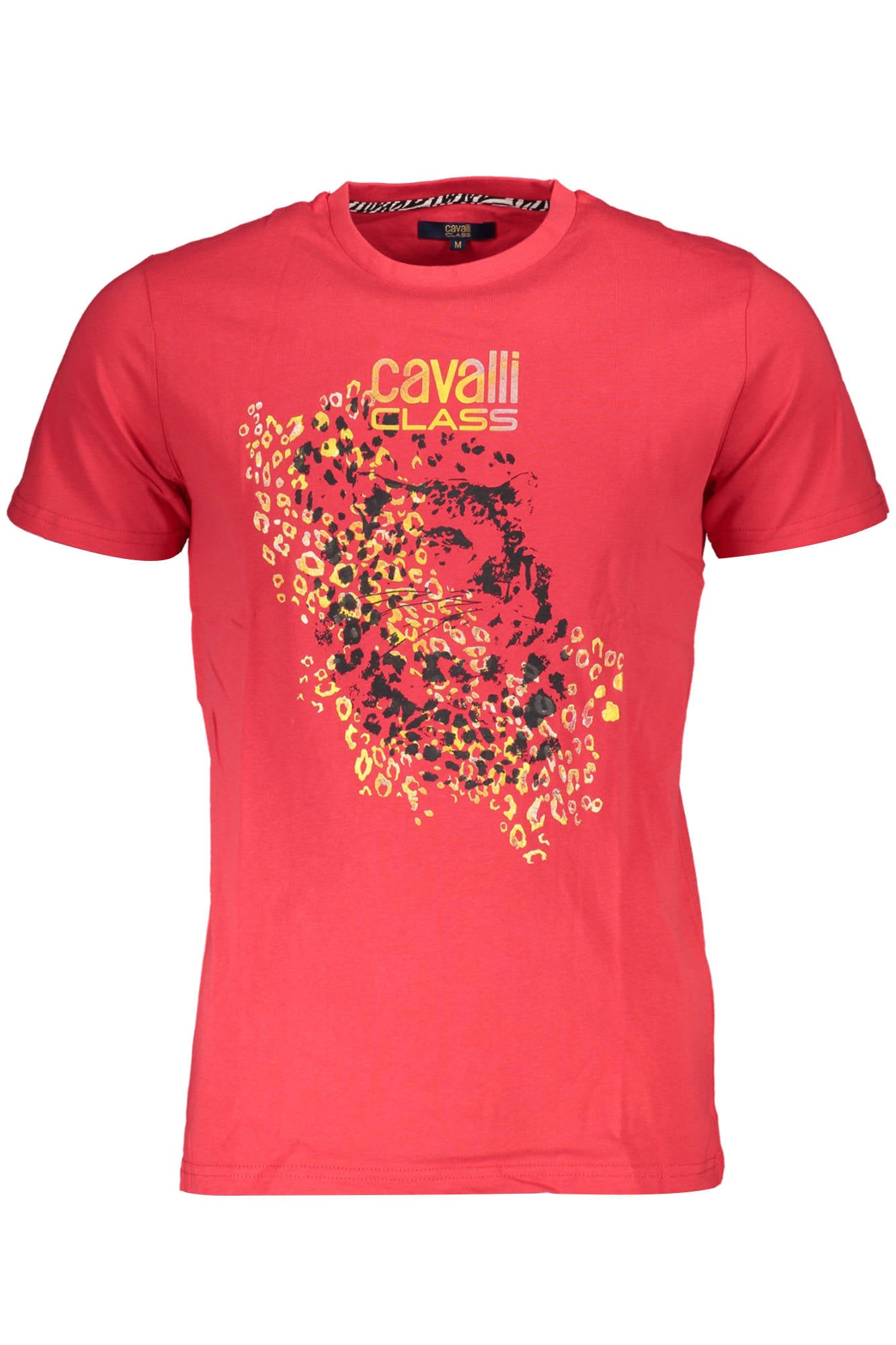 CAVALLI CLASS
