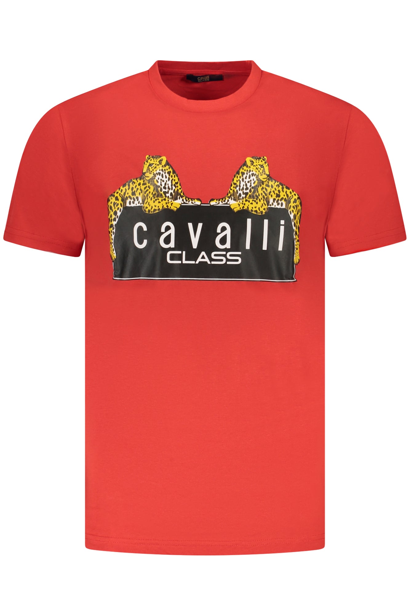 CAVALLI CLASS