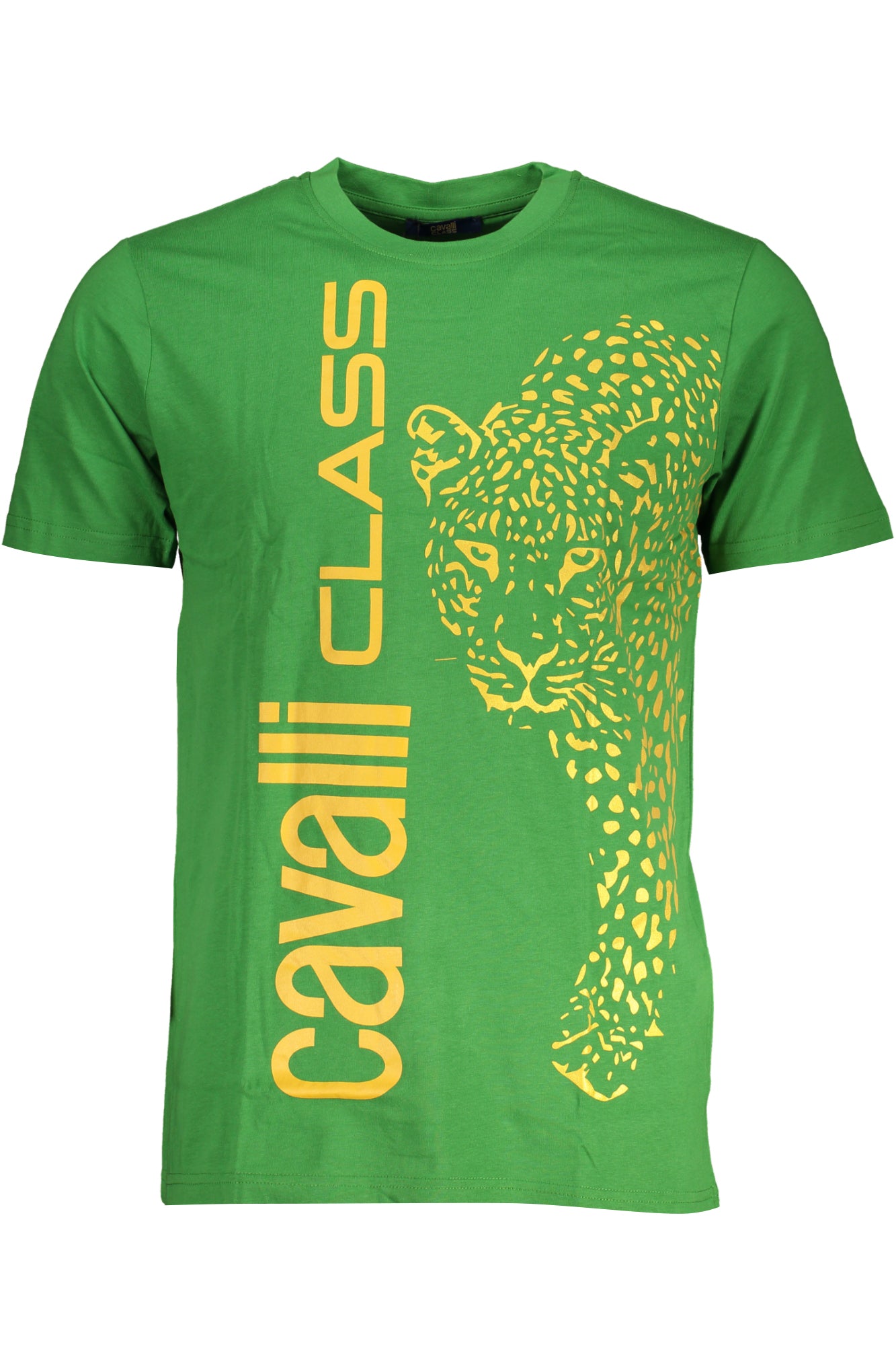 CAVALLI CLASS