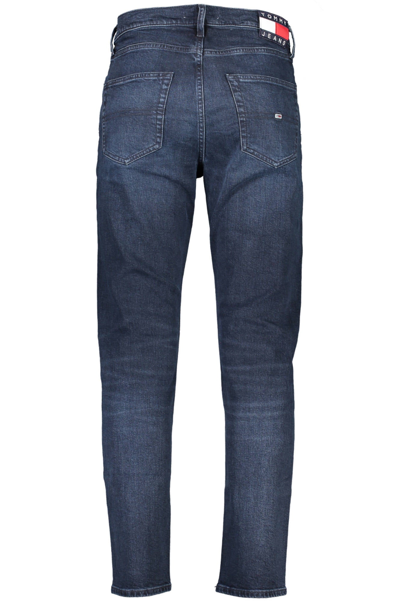 TOMMY HILFIGER JEANS DENIM MAN BLUE